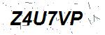 CAPTCHA verification image containing distorted text characters