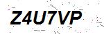 CAPTCHA verification image containing distorted text characters
