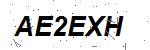 CAPTCHA verification image containing distorted text characters
