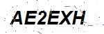 CAPTCHA verification image containing distorted text characters