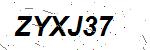 CAPTCHA verification image containing distorted text characters