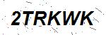 CAPTCHA verification image containing distorted text characters
