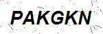 CAPTCHA verification image containing distorted text characters