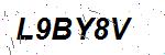CAPTCHA verification image containing distorted text characters