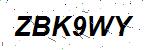 CAPTCHA verification image containing distorted text characters