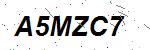 CAPTCHA verification image containing distorted text characters