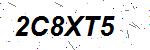 CAPTCHA verification image containing distorted text characters