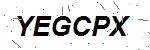 CAPTCHA verification image containing distorted text characters