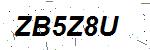 CAPTCHA verification image containing distorted text characters