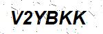 CAPTCHA verification image containing distorted text characters