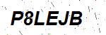 CAPTCHA verification image containing distorted text characters