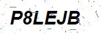 CAPTCHA verification image containing distorted text characters