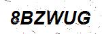 CAPTCHA verification image containing distorted text characters