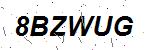 CAPTCHA verification image containing distorted text characters