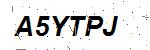 CAPTCHA verification image containing distorted text characters