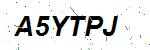 CAPTCHA verification image containing distorted text characters