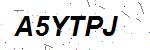 CAPTCHA verification image containing distorted text characters