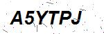CAPTCHA verification image containing distorted text characters