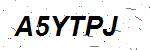 CAPTCHA verification image containing distorted text characters