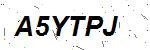 CAPTCHA verification image containing distorted text characters