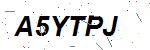CAPTCHA verification image containing distorted text characters