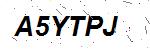 CAPTCHA verification image containing distorted text characters