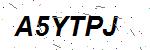 CAPTCHA verification image containing distorted text characters