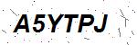 CAPTCHA verification image containing distorted text characters
