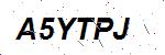 CAPTCHA verification image containing distorted text characters