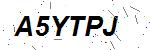 CAPTCHA verification image containing distorted text characters