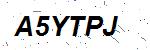 CAPTCHA verification image containing distorted text characters