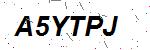 CAPTCHA verification image containing distorted text characters