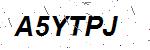 CAPTCHA verification image containing distorted text characters