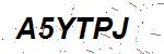 CAPTCHA verification image containing distorted text characters