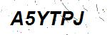 CAPTCHA verification image containing distorted text characters
