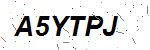 CAPTCHA verification image containing distorted text characters