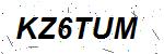 CAPTCHA verification image containing distorted text characters