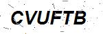 CAPTCHA verification image containing distorted text characters