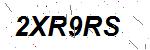 CAPTCHA verification image containing distorted text characters