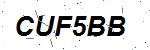 CAPTCHA verification image containing distorted text characters