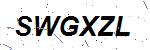 CAPTCHA verification image containing distorted text characters