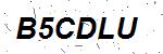CAPTCHA verification image containing distorted text characters