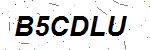 CAPTCHA verification image containing distorted text characters