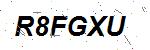 CAPTCHA verification image containing distorted text characters