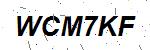 CAPTCHA verification image containing distorted text characters