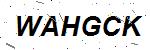 CAPTCHA verification image containing distorted text characters