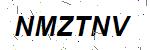 CAPTCHA verification image containing distorted text characters