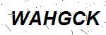 CAPTCHA verification image containing distorted text characters