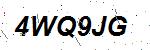 CAPTCHA verification image containing distorted text characters
