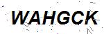 CAPTCHA verification image containing distorted text characters